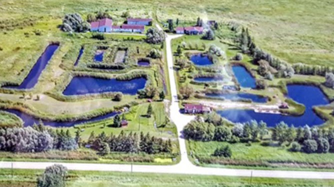 Highland Fish Sanctuary | 72053 32 Rd E, Garson, MB R0E 0R0, Canada | Phone: (647) 300-8494