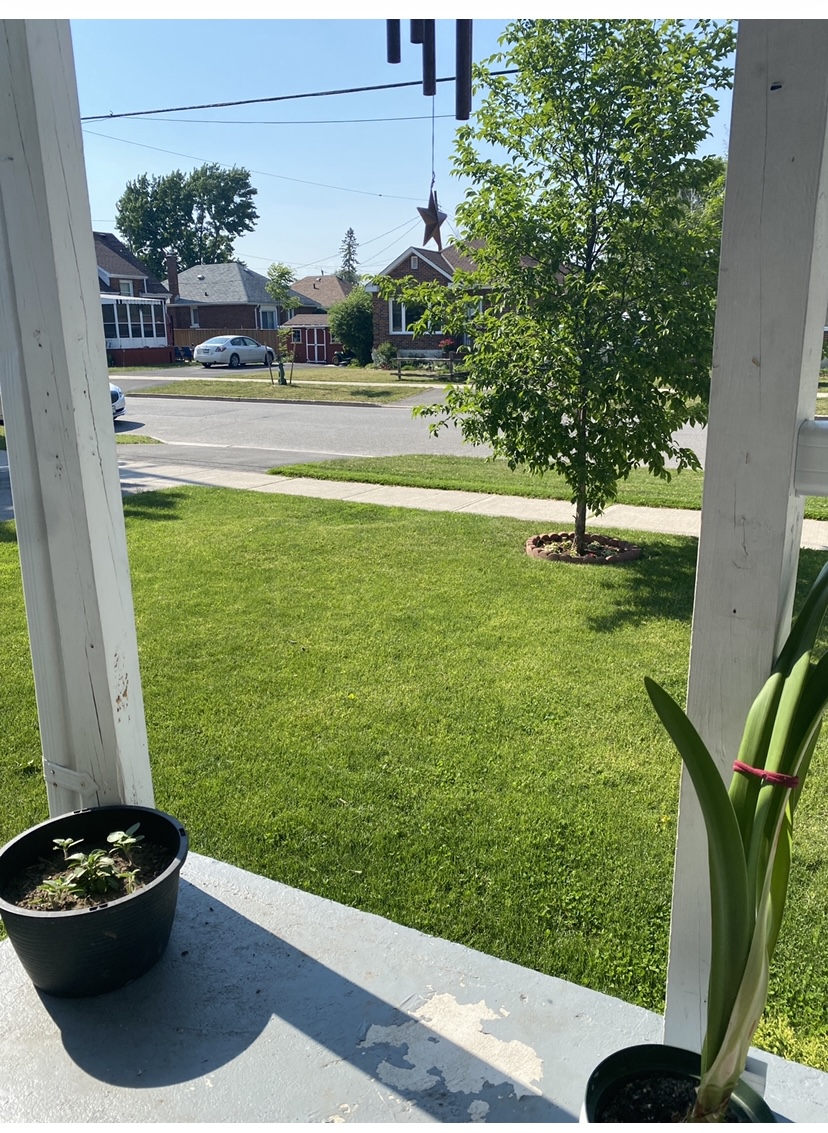 Brocks Property Services | 477 Arndon Ave, Peterborough, ON K9J 4A7, Canada | Phone: (705) 761-8127