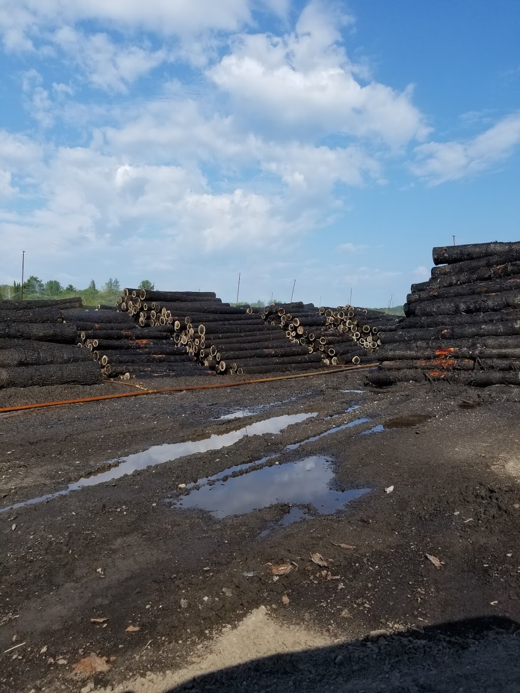 Timberthane | Premium Wood Sidings | 2154 Manitoba St, Bracebridge, ON P1L 1X4, Canada | Phone: (705) 645-7757