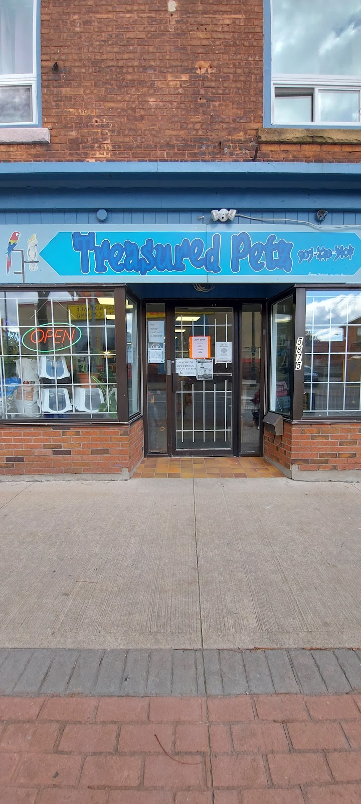 Treasured petz | 5875 Ferry St, Niagara Falls, ON L2G 1S8, Canada | Phone: (905) 228-3407