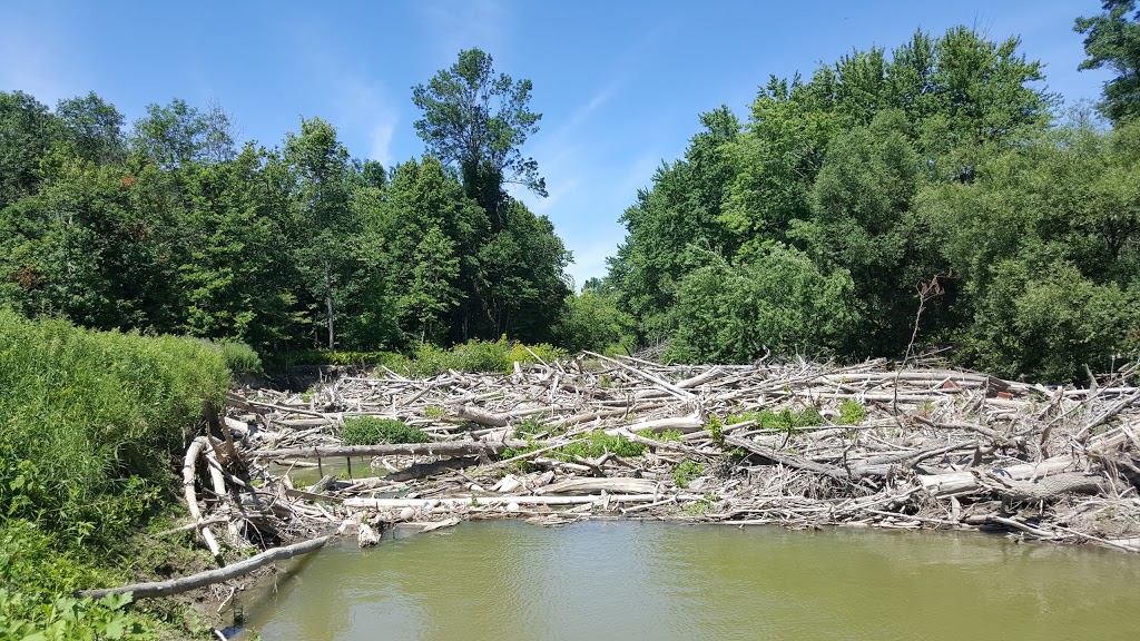 Minesing Wetlands | 363 Mill St, Angus, ON L0M 1T2, Canada | Phone: (705) 424-1479
