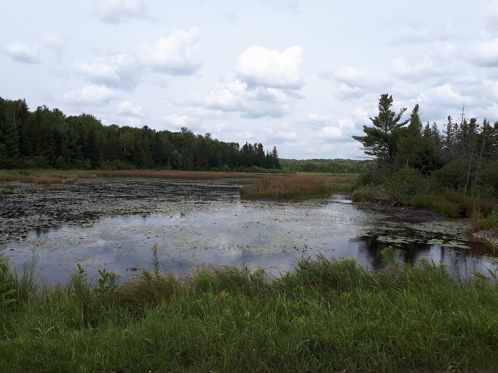 Burnt River Somerville Centre | 16 Somerville Centre Rd, Burnt River, ON K0M 1C0, Canada | Phone: (705) 454-2194