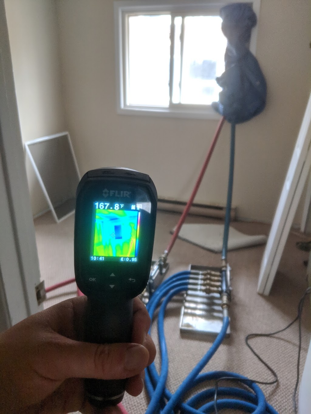 Green Heat Bed Bug Exterminator | 1411 Hidden Valley Rd, Burlington, ON L7P 0T5, Canada | Phone: (289) 828-2298