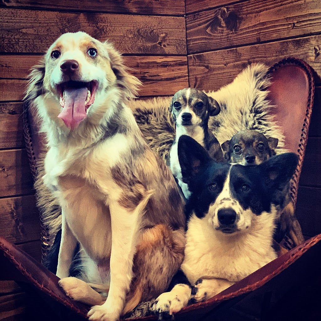 The Farm Pet Retreat | Hwy 240 Entrance 49079, Saint Claude, MB R0G 1Z0, Canada | Phone: (204) 870-9594