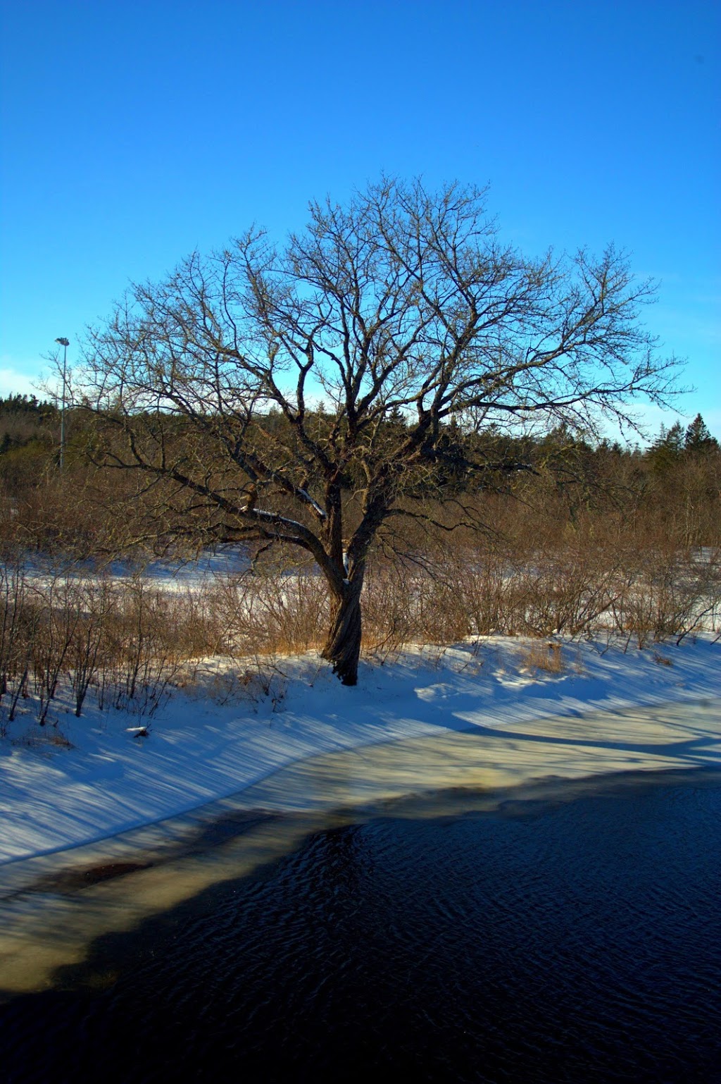 Musquodoboit Harbour Peace Park | 67 Park Rd, Musquodoboit Harbour, NS B0J 2L0, Canada