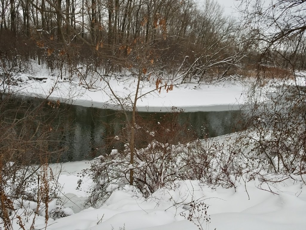 Stoneybrook Recreation Field | 815 Windermere Rd, London, ON N5X, Canada