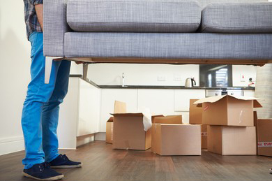 Murphy Group Services Inc. | 3 Stirrup Pl, Kanata, ON K2M 1H9, Canada | Phone: (613) 875-8400