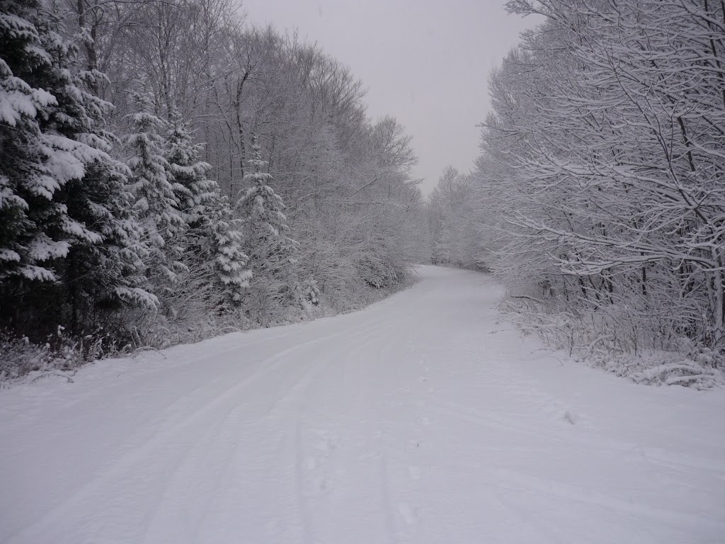 411Chalet.com - Location de chalets, Chalets au Quebec | 178 Rue Saint-Joseph, Sainte-Martine, QC J0S 1V0, Canada