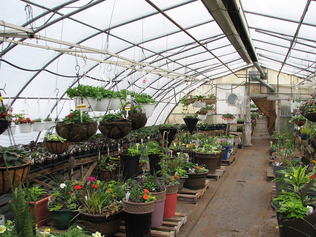 Green Valley Gardens | 3801 50 St, Camrose, AB T4V, Canada | Phone: (780) 781-6728
