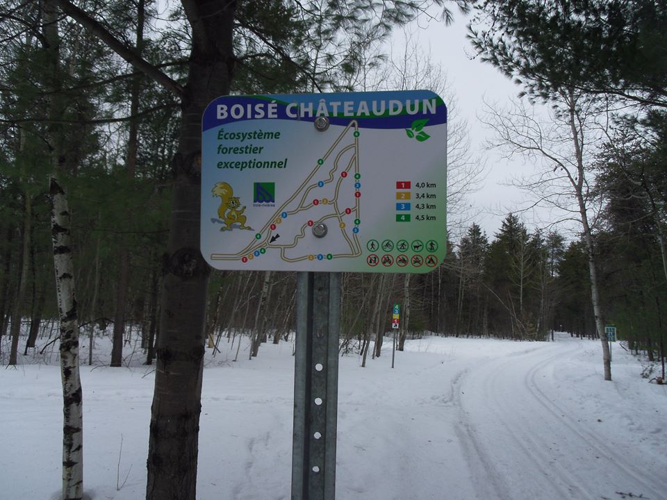 Parc Arthur-Vaillancourt | 1325 Rue Arthur-Vaillancourt, Trois-Rivières, QC G8V, Canada