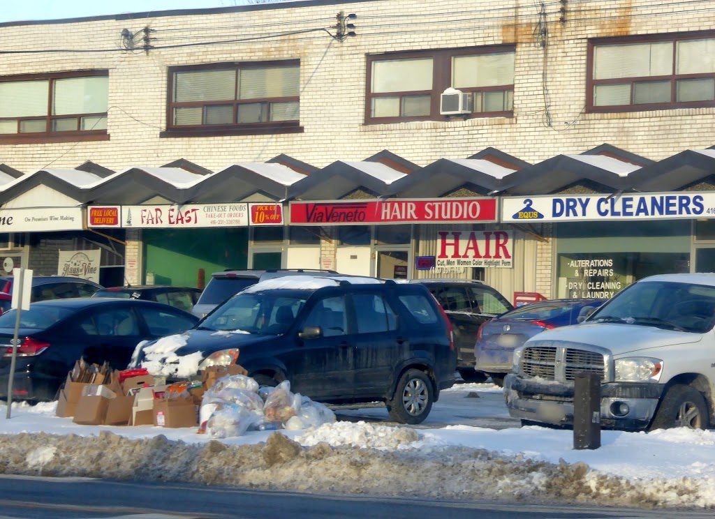 Far East Chinese Food | 137 Martin Grove Rd, Etobicoke, ON M9B 4K8, Canada | Phone: (416) 231-3387