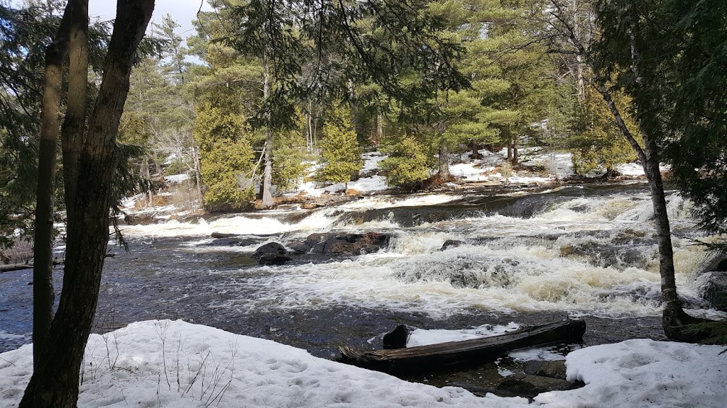 South Muskoka Curling and Golf Club | 10 Golf Course Rd, Bracebridge, ON P1L 1M6, Canada | Phone: (705) 645-4221