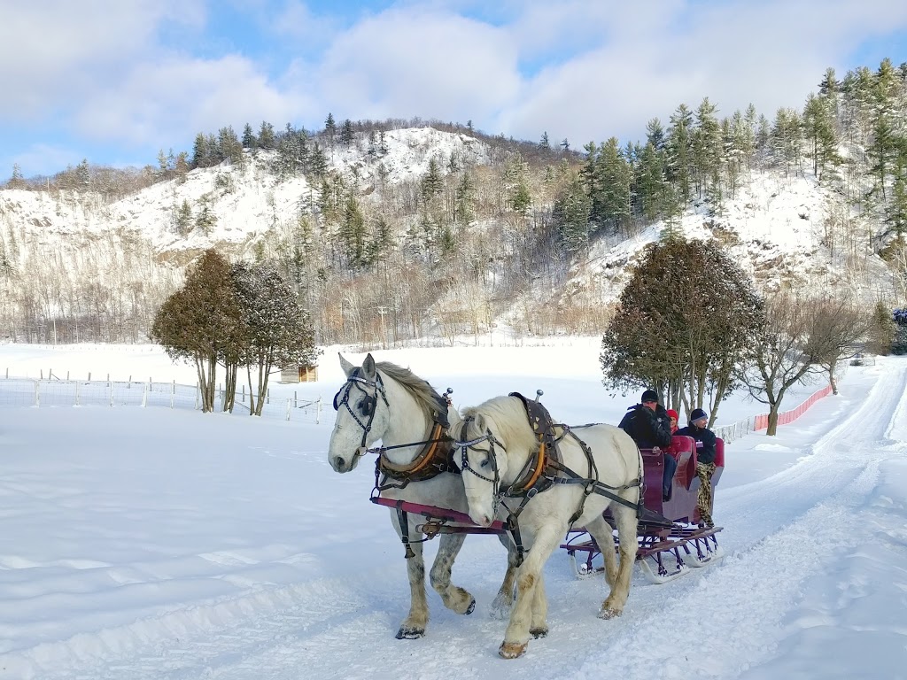 Captiva Farms Horseback Riding | 189 Chemin de la Montagne, Wakefield, QC J0X 3G0, Canada | Phone: (819) 459-2769