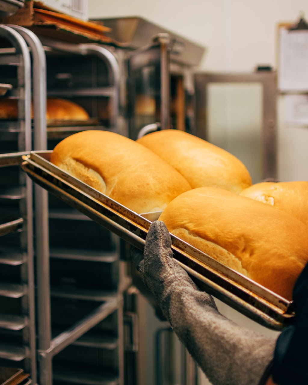 Pressd Sandwich Shop | 8411 112 St NW, Edmonton, AB T6G 1K5, Canada | Phone: (587) 523-7653