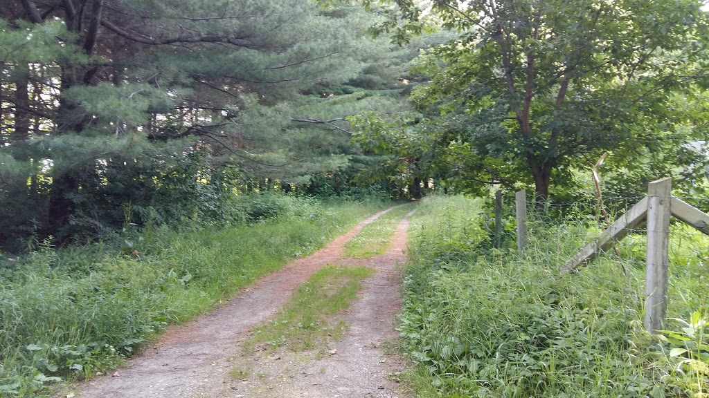 Parc du Boisé-des-Frères-du-Sacré-Coeur | Rue Poisson, Victoriaville, QC G6P 6P2, Canada | Phone: (819) 758-1571