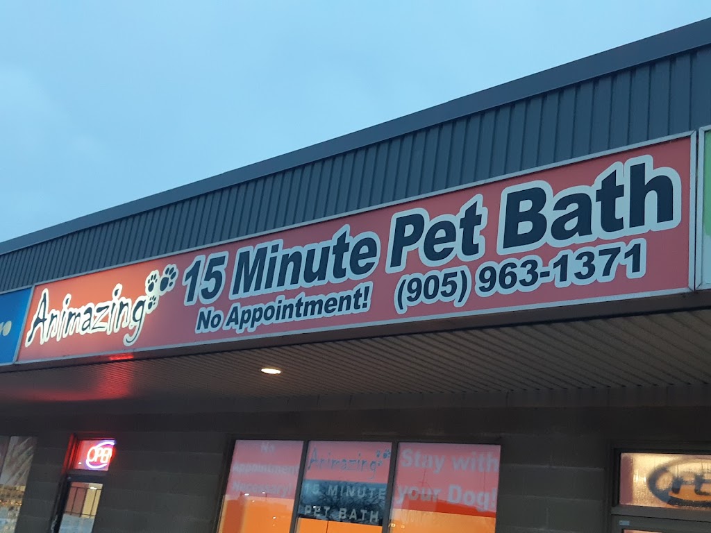 Animazing 15 Minute Pet Bath Center | 1024 Upper Wentworth St, Hamilton, ON L9A 4V9, Canada | Phone: (905) 963-1371