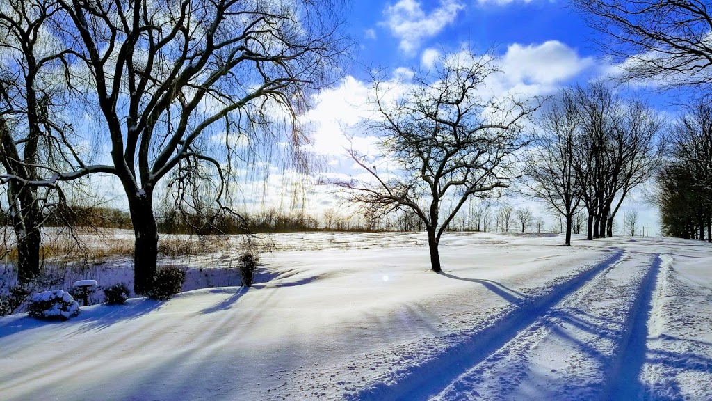 Jessica Vanlauwe | 3362 Old Beverly Rd, Cambridge, ON N1R 5S7, Canada | Phone: (519) 498-8756
