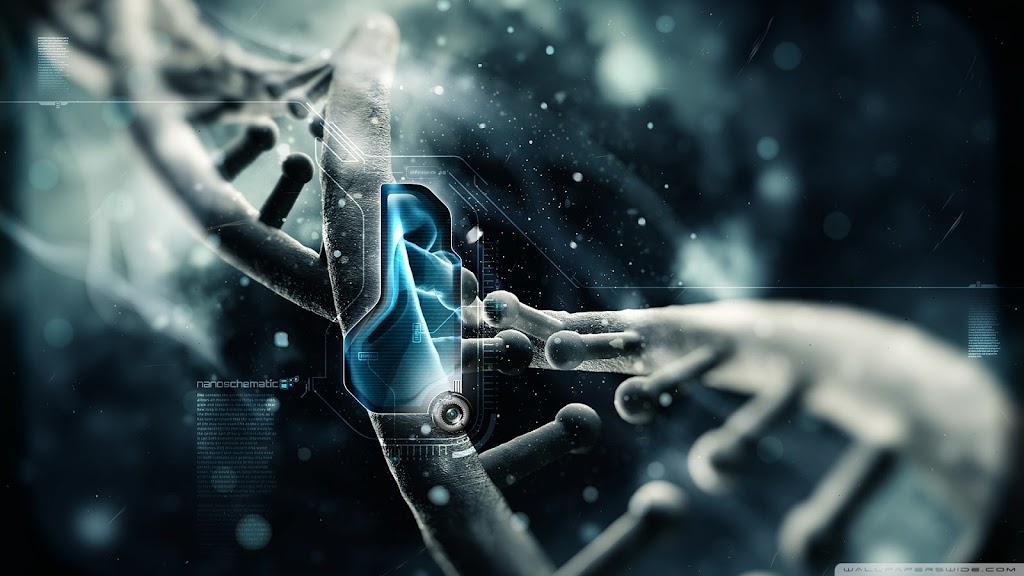 DNA Systems | 130 Twenty Fourth St, Etobicoke, ON M8V 0B9, Canada | Phone: (647) 865-1798