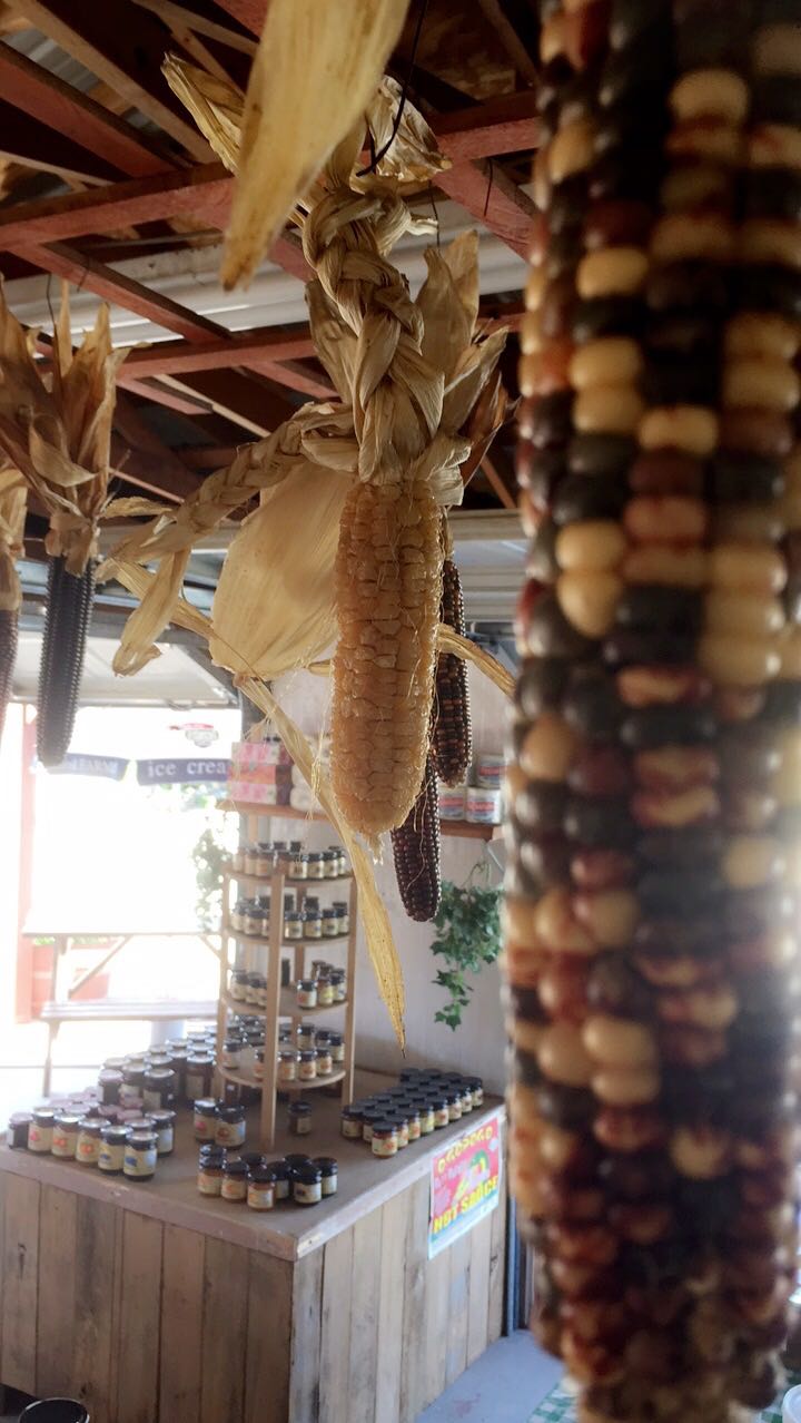 Red Barn Fruit Market | 13818 BC-97, Osoyoos, BC V0H 1V2, Canada | Phone: (250) 498-1488