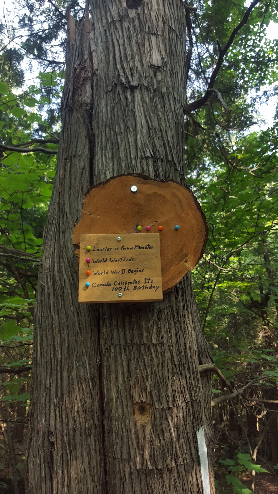 Noisy River Provincial Park | Creemore, ON L0M 1G0, Canada | Phone: (705) 429-2516
