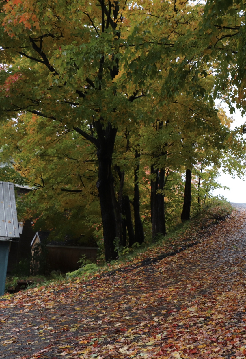 Ferme Des Pionniers | 6052 Chem. Royal, Saint-Laurent-de-lÎle-dOrléans, QC G0A 3Z0, Canada | Phone: (418) 829-3666