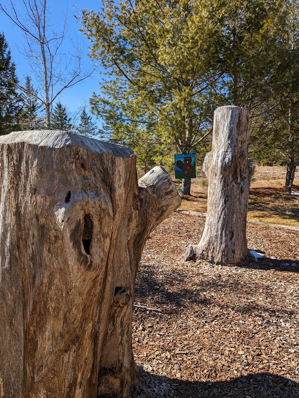 Nature Learning and Play Space | 12014 NS-224, Middle Musquodoboit, NS B0N 1X0, Canada | Phone: (902) 384-3420