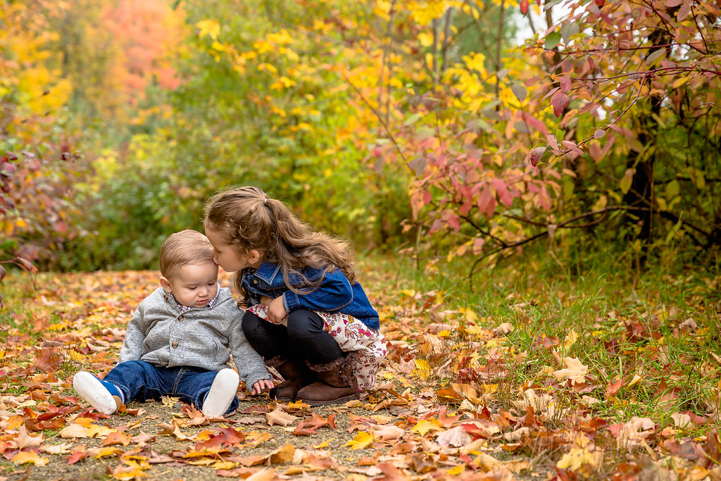 Pixel Light Studios | Stonecairn Dr, Cambridge, ON N1T 1X1, Canada | Phone: (519) 500-3036