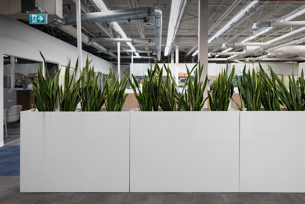 C3 Commercial Metal Planters | 548 Nicola Ave, Port Coquitlam, BC V3B 0K4, Canada | Phone: (604) 828-6144