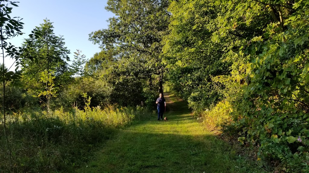 Duncan Ferguson Homestead | 71 Cowan Blvd, Cambridge, ON N1T 1K7, Canada | Phone: (519) 740-4681