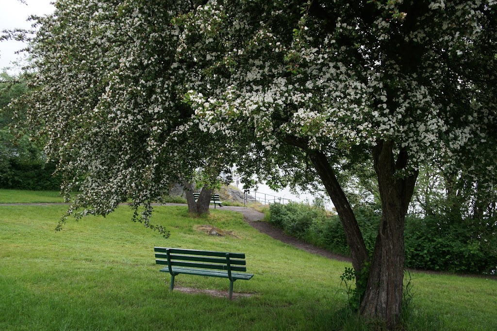 Banfield Park | 521 Craigflower Rd, Victoria, BC V9A 6Z5, Canada | Phone: (250) 590-8922