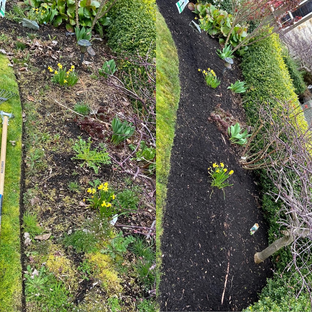 Lawn Queenz | 32631 Kudo Dr, Mission, BC V2V 6T5, Canada | Phone: (778) 918-4212