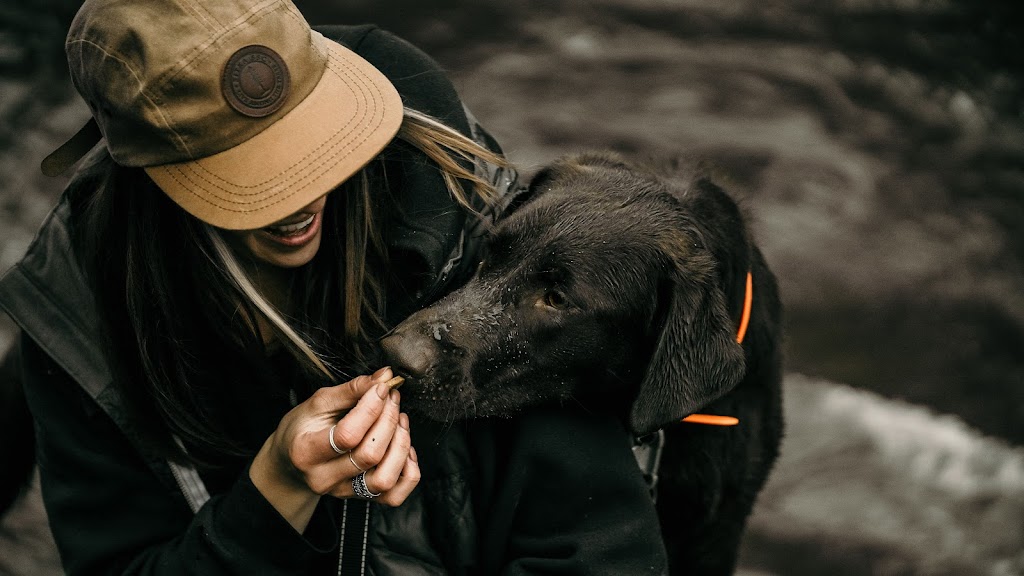 Trail Dogs | Pemberton, BC V0N 2L2, Canada | Phone: (604) 905-9273