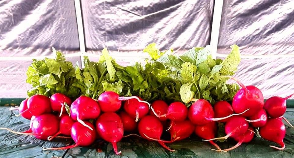 The Farm-acy | 148 Concession 6 East, Waterdown, ON L0R 1V0, Canada | Phone: (905) 689-5466