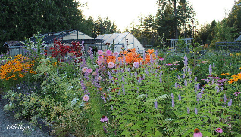 Olde Thyme Food Garden | 2330 Morland Rd, Nanaimo, BC V9X 1J1, Canada