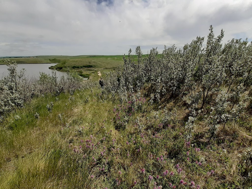 Michichi Recreation Area | AB-849, Munson, AB T0J 2C0, Canada | Phone: (403) 772-3793