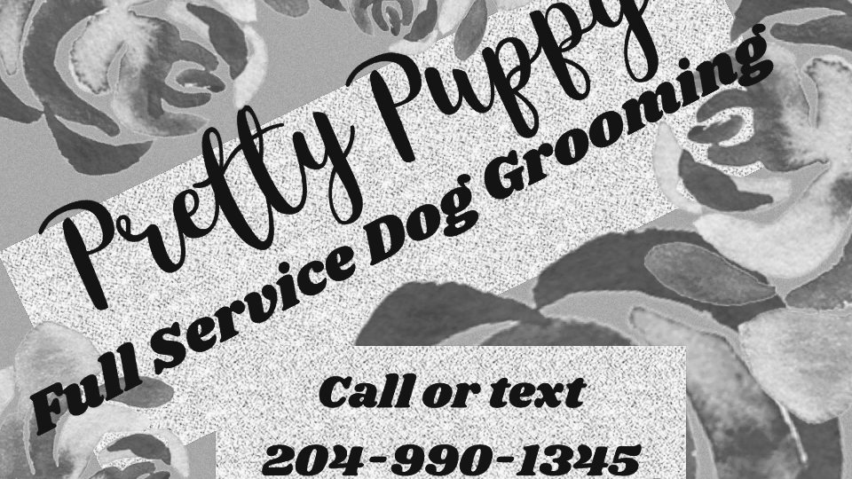 Pretty Puppy! (& Kitty Too!) | on right, 18 Harlow Bay 5th house, Winnipeg, MB R2C 0K7, Canada | Phone: (204) 990-1345