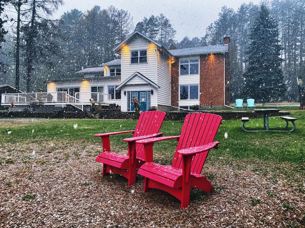 Blue Spruce Resort | 4308 ON-60, Dwight, ON P0A 1H0, Canada | Phone: (705) 635-2330