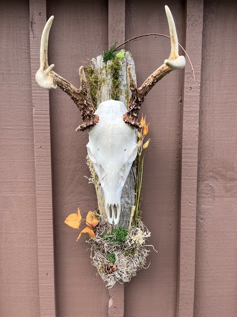 Bears Taxidermy | 106 Louise St, Belmont, ON N0L 1B0, Canada | Phone: (519) 644-2815