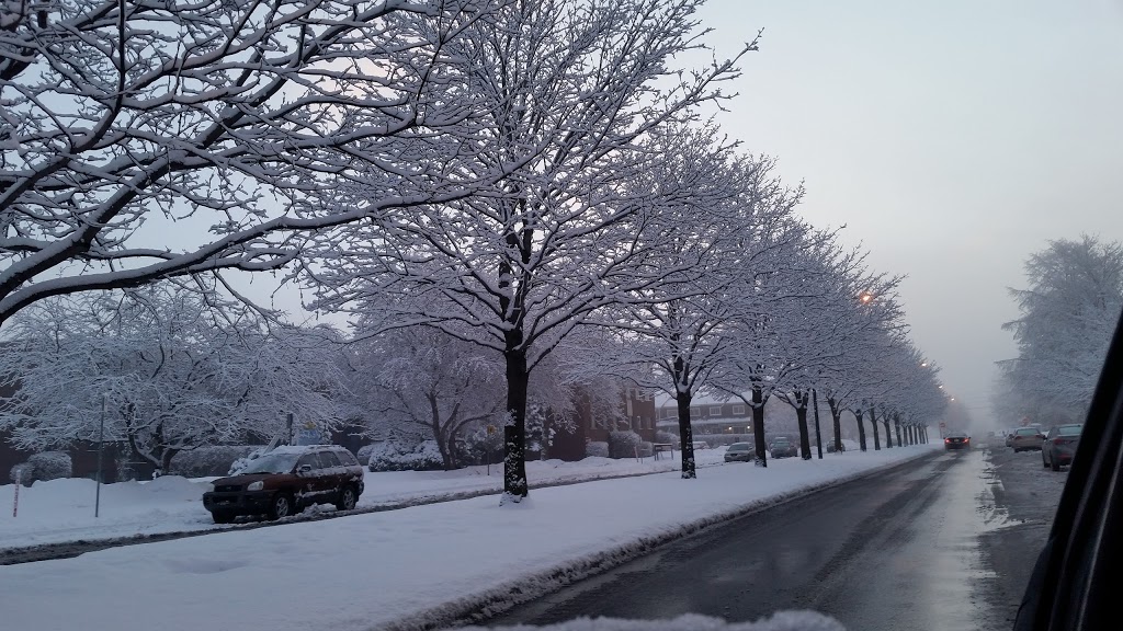 Parc Victorin | 966 Avenue Pothier, Brossard, QC J4W 2A2, Canada | Phone: (450) 923-6311
