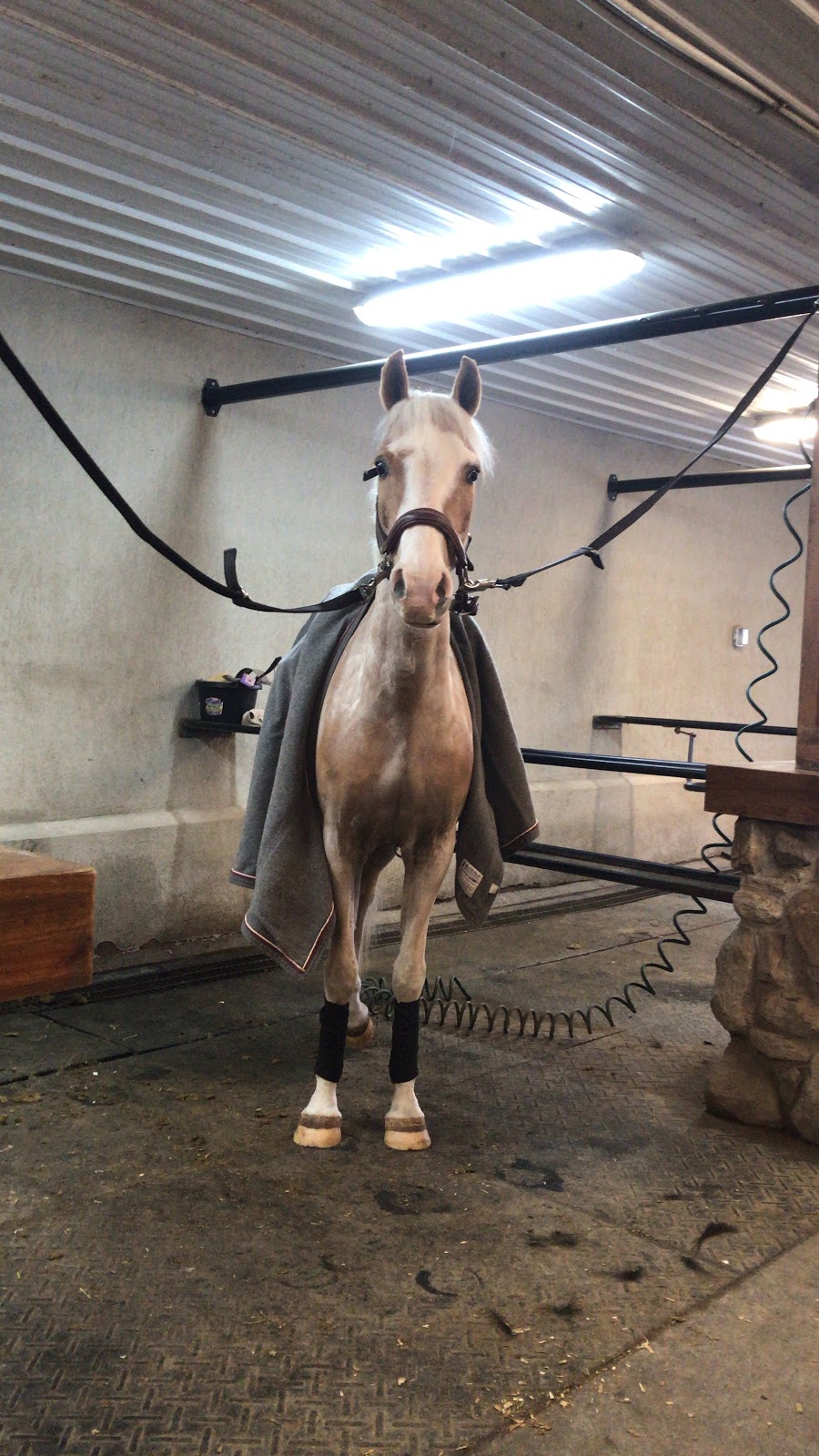 Stonewood Riding Academy | 3985 Sideline 16 Rd, Claremont, ON L1Y 1A2, Canada | Phone: (905) 408-1000
