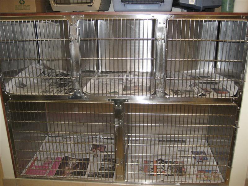 Chapel Hill Veterinary Clinic | 1615 Orléans Blvd, Orléans, ON K1C 7E2, Canada | Phone: (613) 834-5686