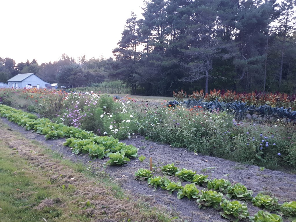 Wicklow Way | 188 Lakeport Rd, Colborne, ON K0K 1S0, Canada | Phone: (905) 269-0340