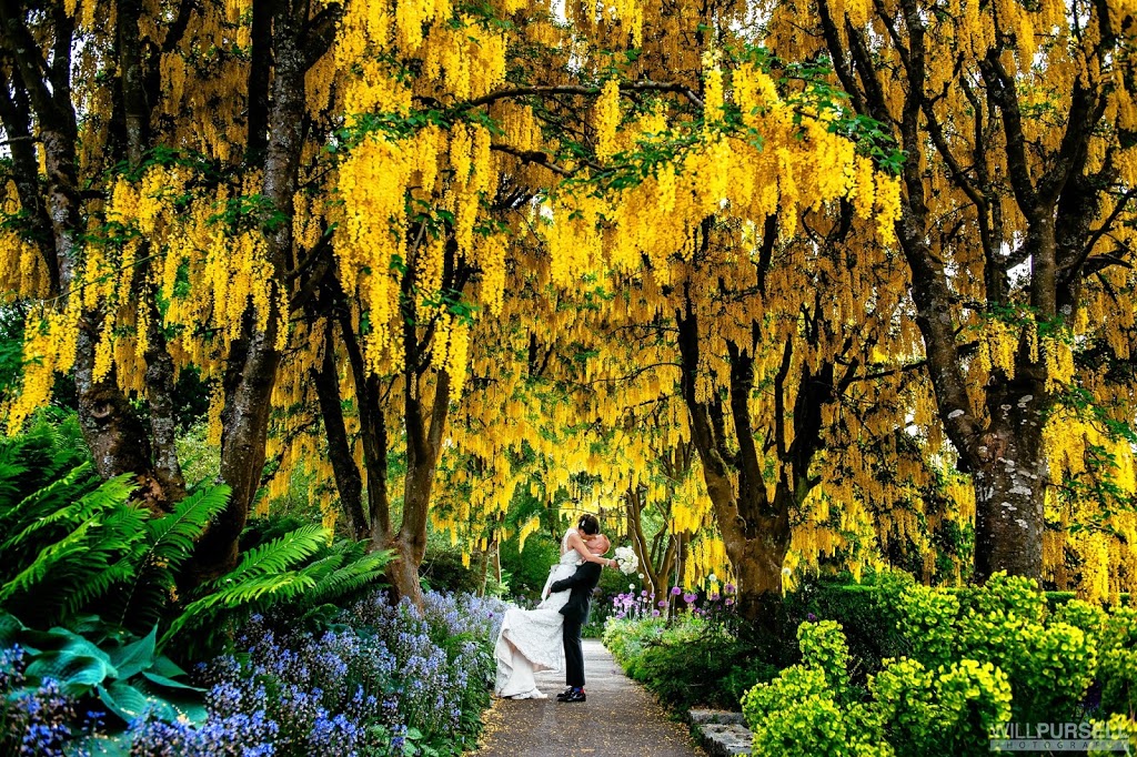 Will Pursell Photography | 7361 Halifax St, Burnaby, BC V5A 4H3, Canada | Phone: (778) 847-1989