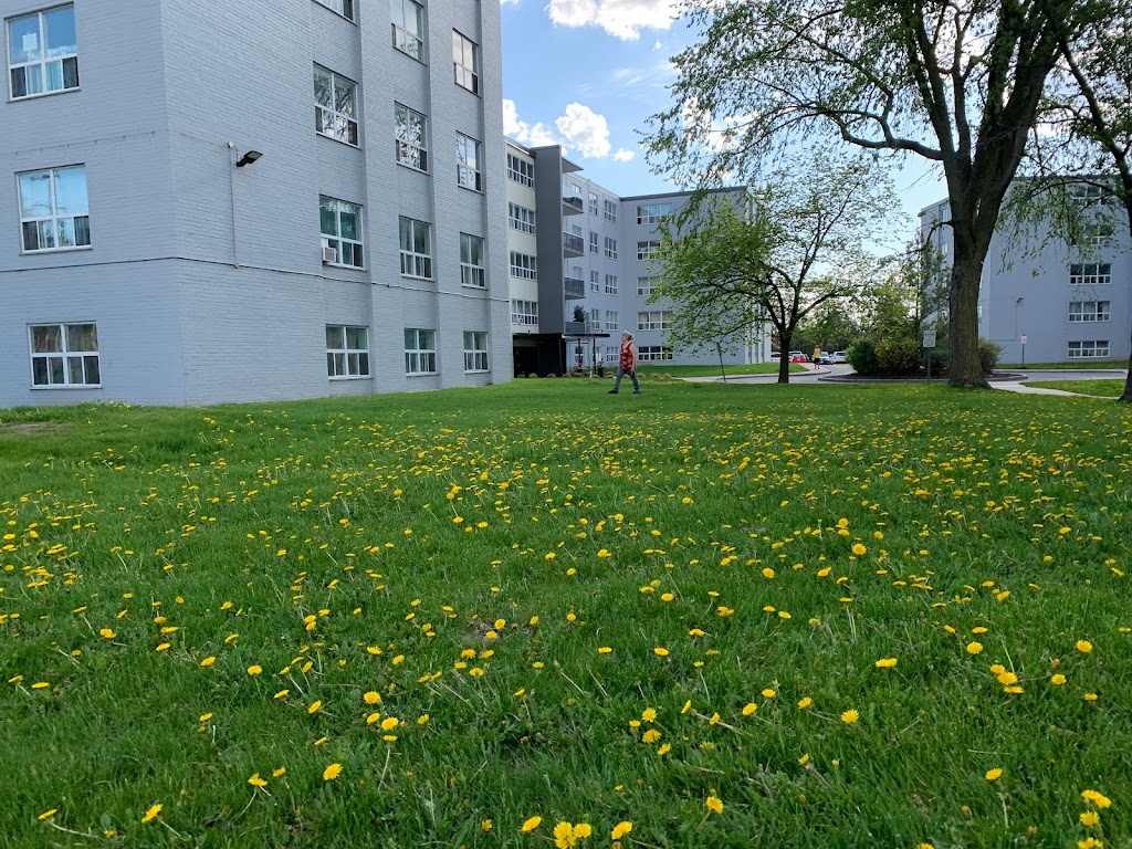 Midland Complex - Hazelview Properties | 740 &, 746 Midland Ave, Toronto, ON M1K 4E2, Canada | Phone: (437) 500-6655