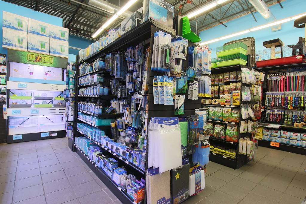 Animalerie du Grand Boisé | 1410 Chemin de Saint-Jean, La Prairie, QC J5R 2L7, Canada | Phone: (450) 907-7772