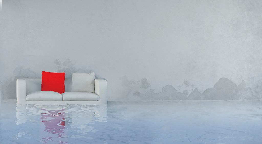 Nuttall Restoration | 38 Trites Rd, Riverview, NB E1B 2V6, Canada | Phone: (506) 387-9097