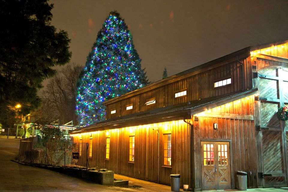 FestiLight - Christmas Light Installation Vancouver | 43 – 3031 Williams Road, Richmond, BC V7E 1H9, Canada | Phone: (855) 733-7845