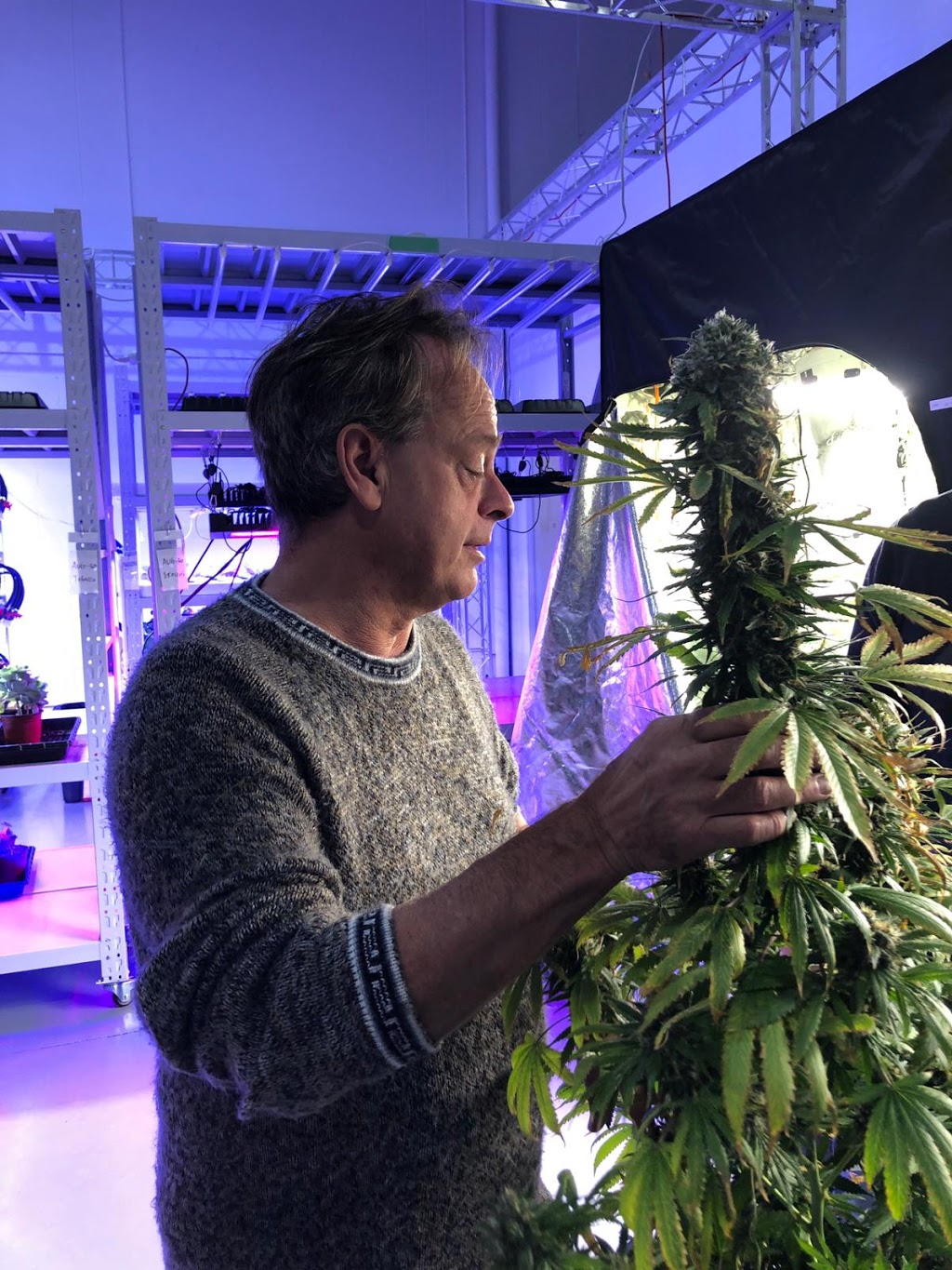 AI Grow Light | 6 Shields Ct unit #4, Markham, ON L3R 4S1, Canada | Phone: (416) 576-2766