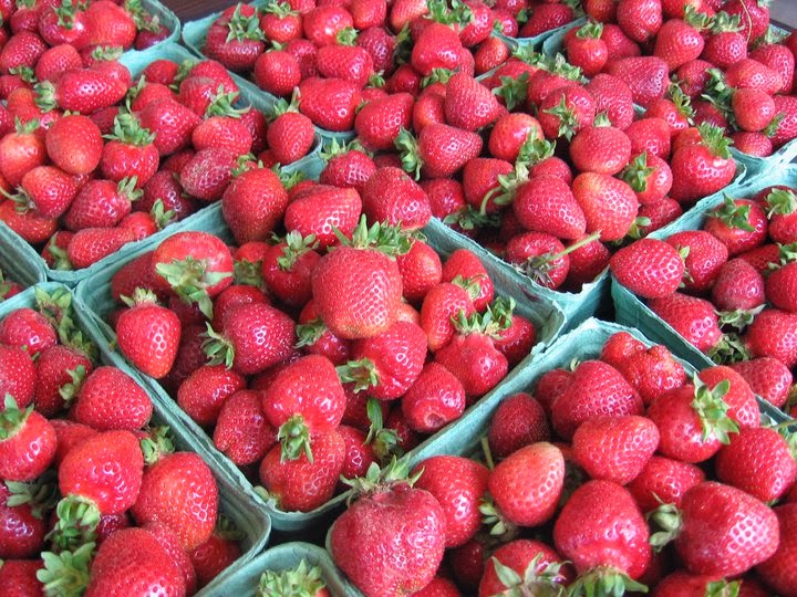 Neufeld Farms | 32215 King Rd, Abbotsford, BC V2T 5Z4, Canada | Phone: (604) 859-2829
