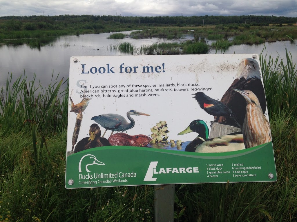 Brookfield Wetland & Nature Trail | Brookfield Wetlands Trail, Brookfield, NS B0N 1C0, Canada